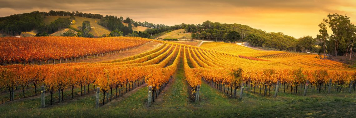 2021-2022 South Australia’s Skilled Migration Program