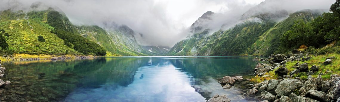 Start a business or invest in New Zealand