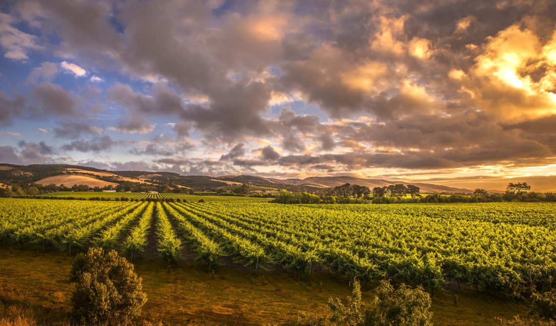 Applying For Skilled Regional visa (Subclass 887 Visa) And Covid-19 Concessions