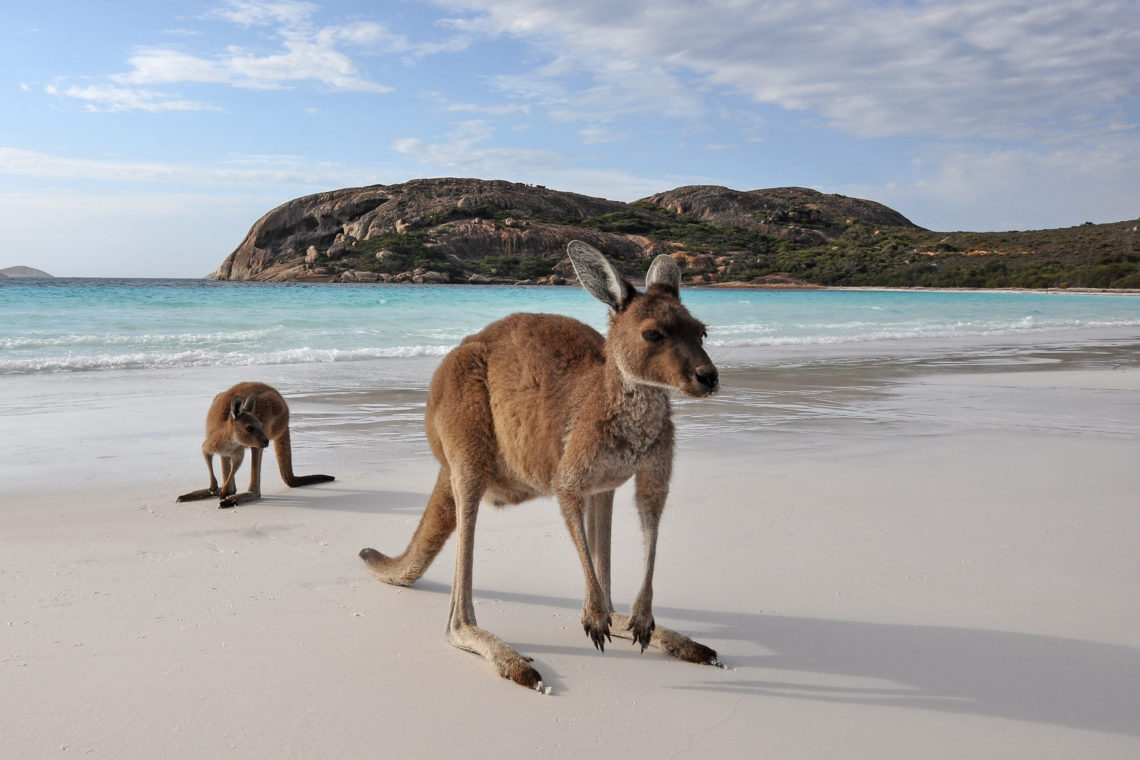 WA State Nominated Migration Program 
