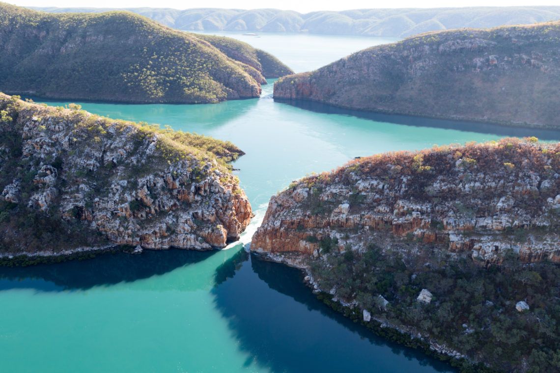7 Reasons why You should Migrate to Darwin