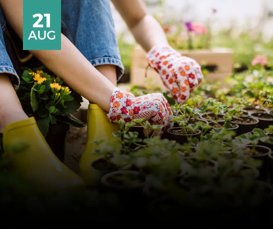 Growing Beyond the Skills Shortage: Employer Sponsorship and Workforce Solutions for Australia’s Horticulture and Greenlife Industry